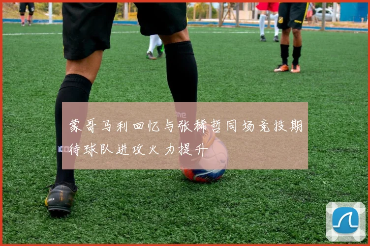 蒙哥马利回忆与张稀哲同场竞技期待球队进攻火力提升